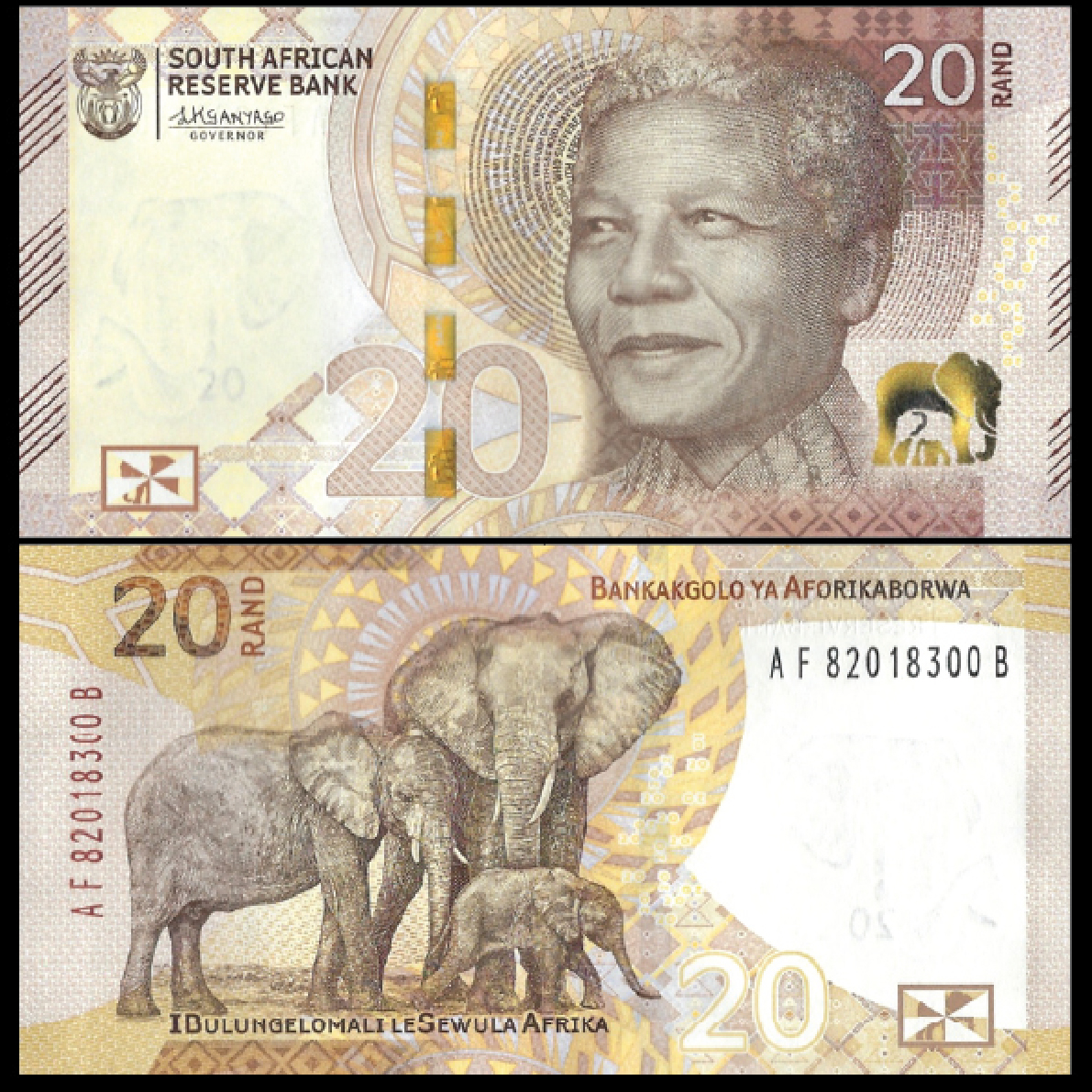 Buy Banknotes - South Africa - 20 Rand 2023 - Pick # 149a | MoneyCorner