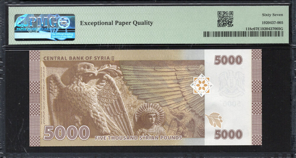 Syria -  5000 Pounds 2023 - Pick # 118c - PMG 67 EPQ