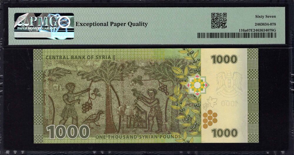 Syria -  1000 Pounds 2013 - Pick # 116a - PMG 67 EPQ