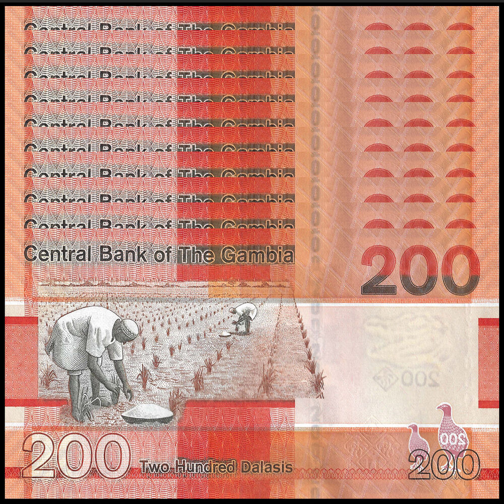 Gambia - 200 Dalasis 2023 - Pick- NEW / B240c - Set 10 PCS