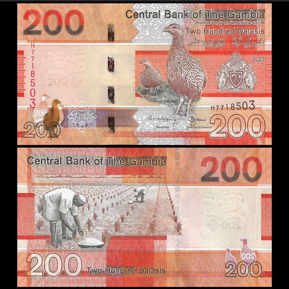 Gambia - 200 Dalasis 2023 - Pick- NEW / B240c - Set 10 PCS