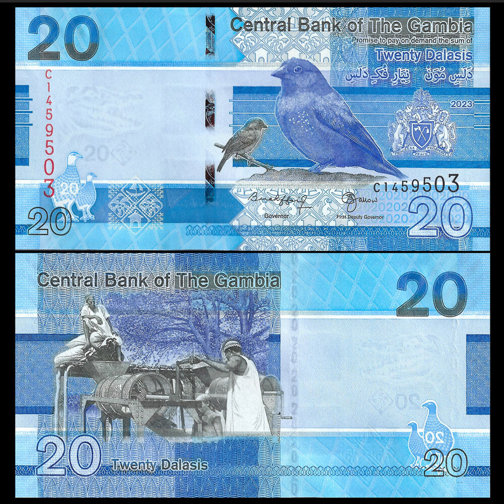 Gambia - 20 Dalasis 2023 - Pick- NEW / B237c - Set 10 PCS