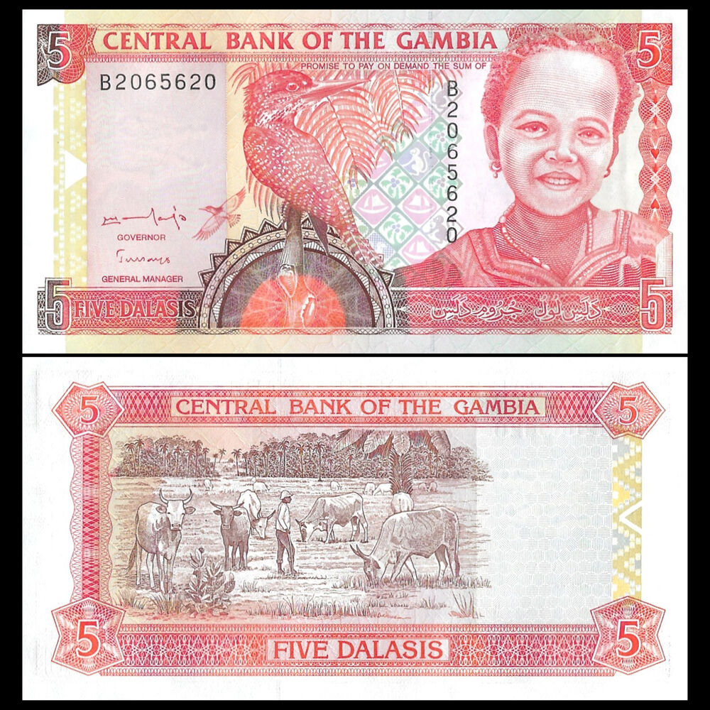 Gambia - 5 Dalasis 1996 - Pick # 16 - Set 10 PCS