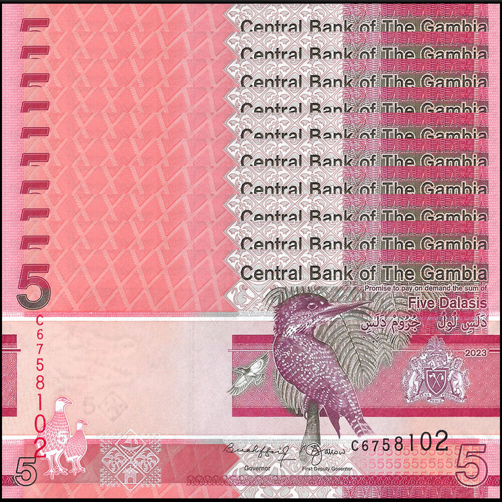 Gambia - 5 Dalasis 2023 - Pick- NEW / B235c - Set 10 PCS