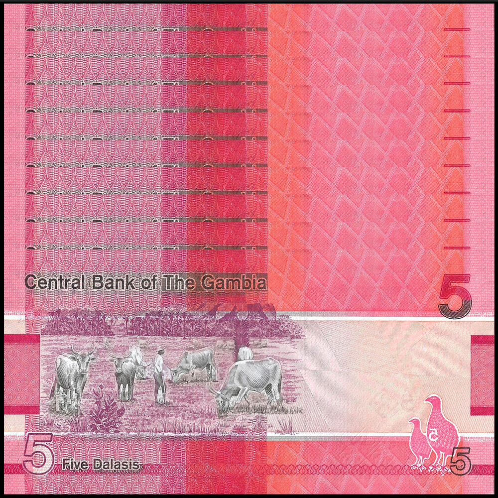 Gambia - 5 Dalasis 2023 - Pick- NEW / B235c - Set 10 PCS