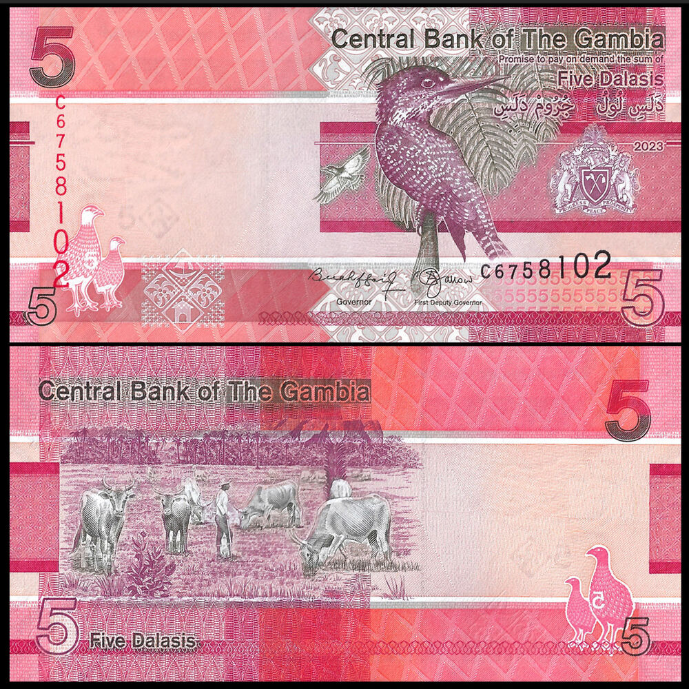 Gambia - 5 Dalasis 2023 - Pick- NEW / B235c - Set 10 PCS