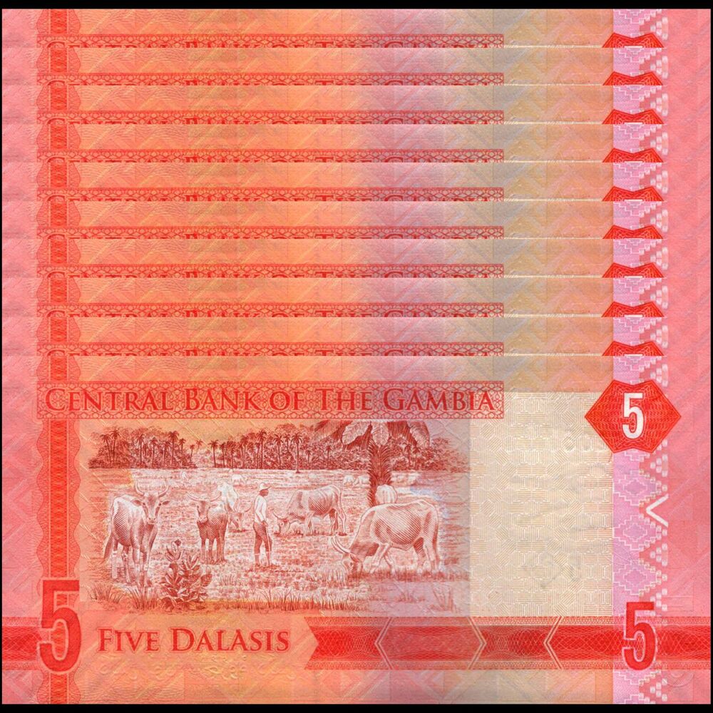 Gambia -  5 Dalasis 2015 - Pick # 31 - Set 10 PCS