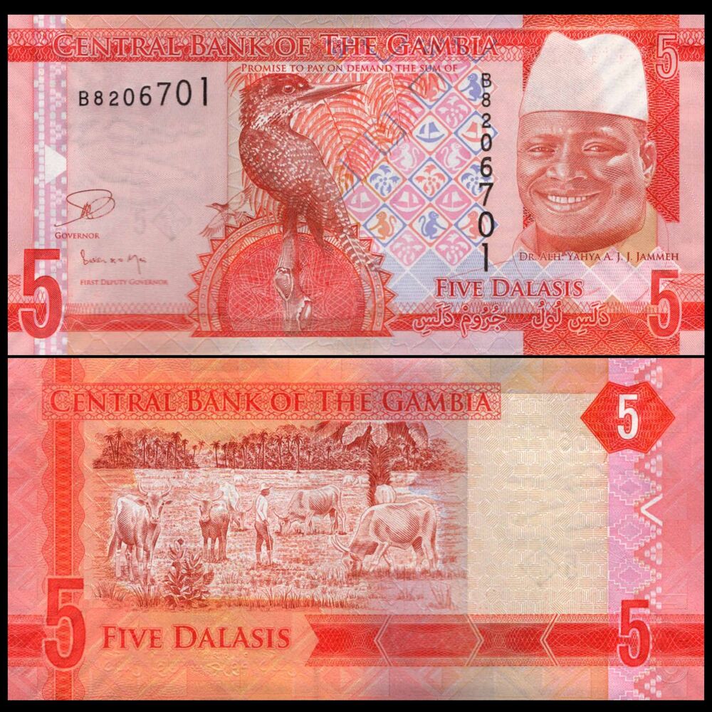 Gambia -  5 Dalasis 2015 - Pick # 31 - Set 10 PCS