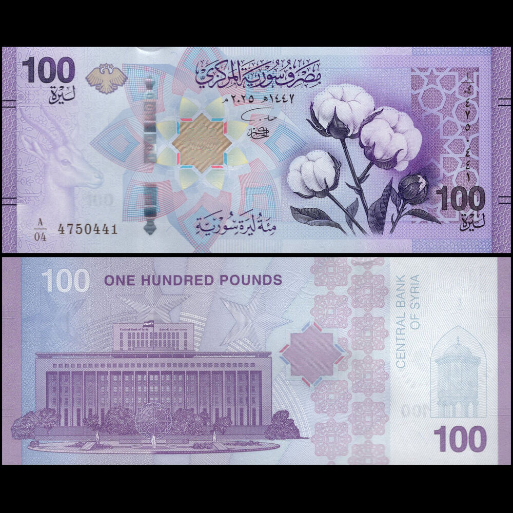 Syria -  100 Pounds 2025 - Pick # NEW - Bundle 100 PCS
