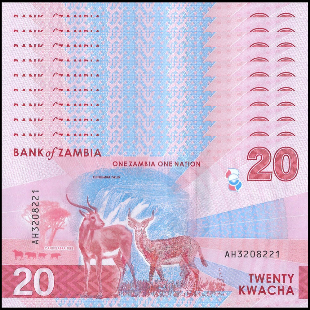Zambia - 20 Kwacha 2024 - Pick # NEW - Set 10 PCS