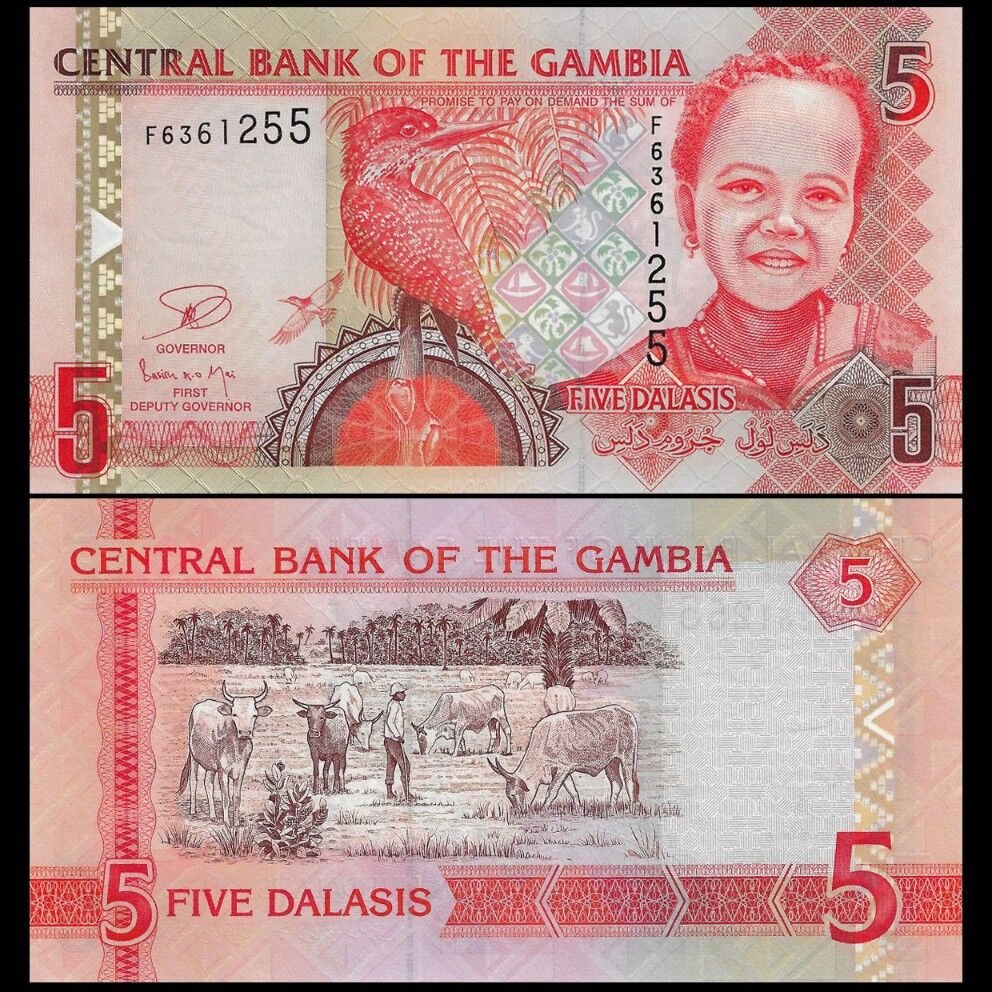 Gambia -  5 Dalasis 2013 - Pick # 25 - Set 10 PCS