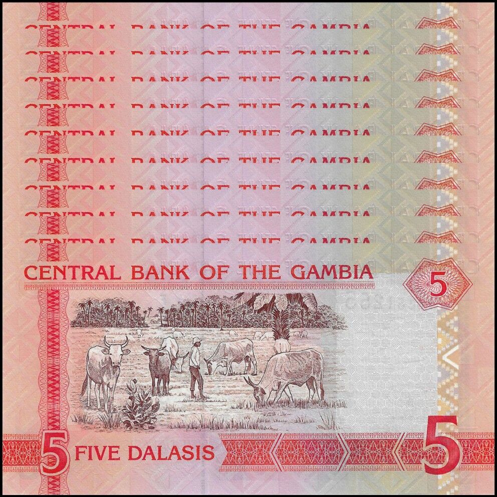 Gambia -  5 Dalasis 2013 - Pick # 25 - Set 10 PCS